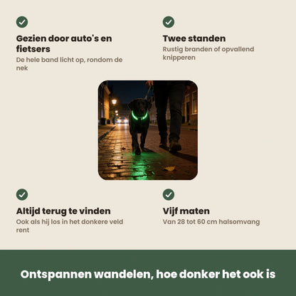 De voordelen van de NightBeam LED hondenhalsband op een rij