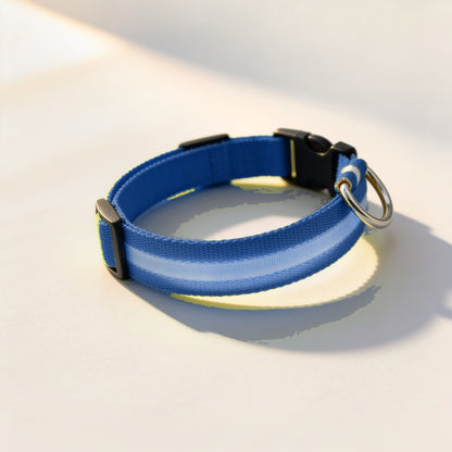 NightBeam LED hondenhalsband in de kleur blauw