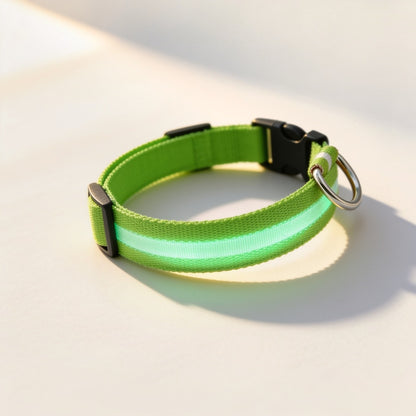 NightBeam LED hondenhalsband in de kleur groen