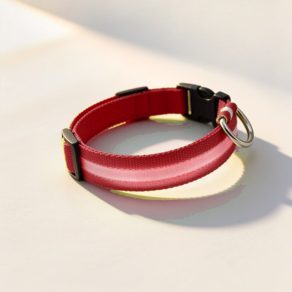 NightBeam LED hondenhalsband in de kleur rood