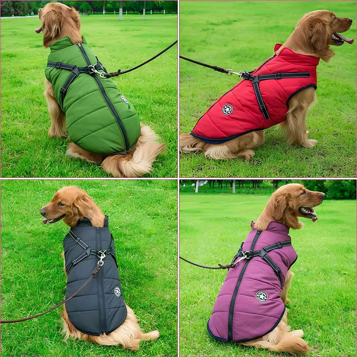PawParka - Hondenregenjas & Winterjas in Één
