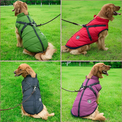 PawParka - Hondenregenjas & Winterjas in Één