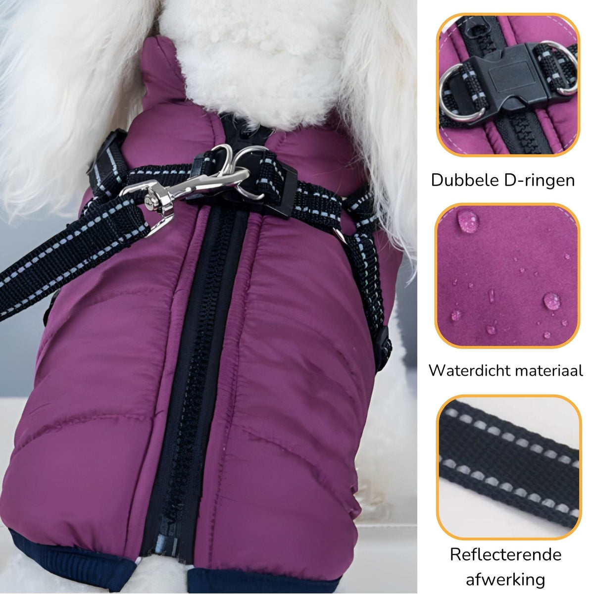 PawParka - Hondenregenjas & Winterjas in Één