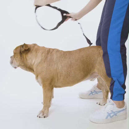 WalkGuard - Hondentuig met Naam voor Trotse Baasjes