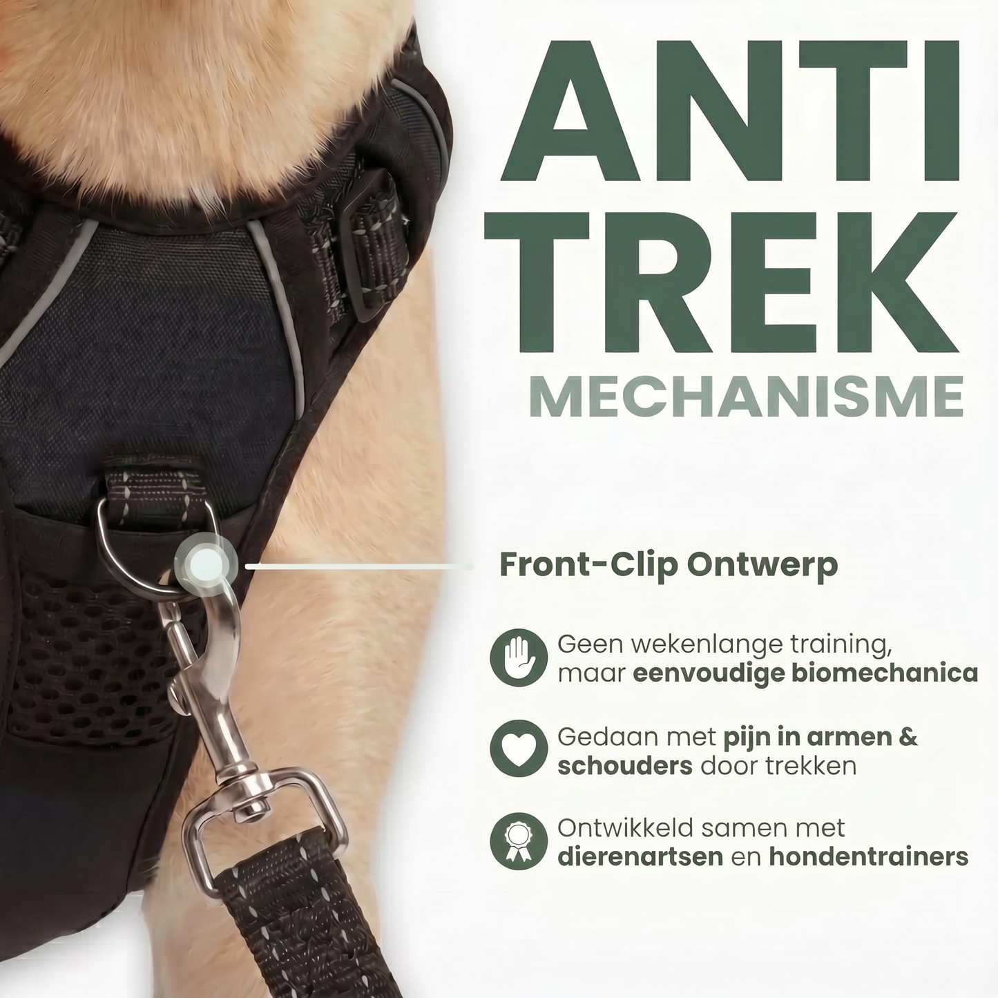 Het anti-trek mechanisme: front-clip ontwerp verlegt de trekkracht naar de borst