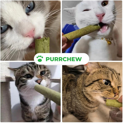 PurrGraze - Natuurlijk kauwplezier voor een gezond kattengebit