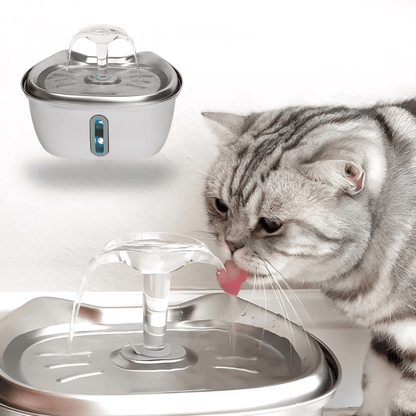 PurrStream – Vers Stromend Water Voor Een Gezondere Kat