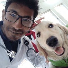 files/review-pawshield-1.jpg