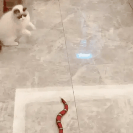 SnakeChase kattenspeelgoed