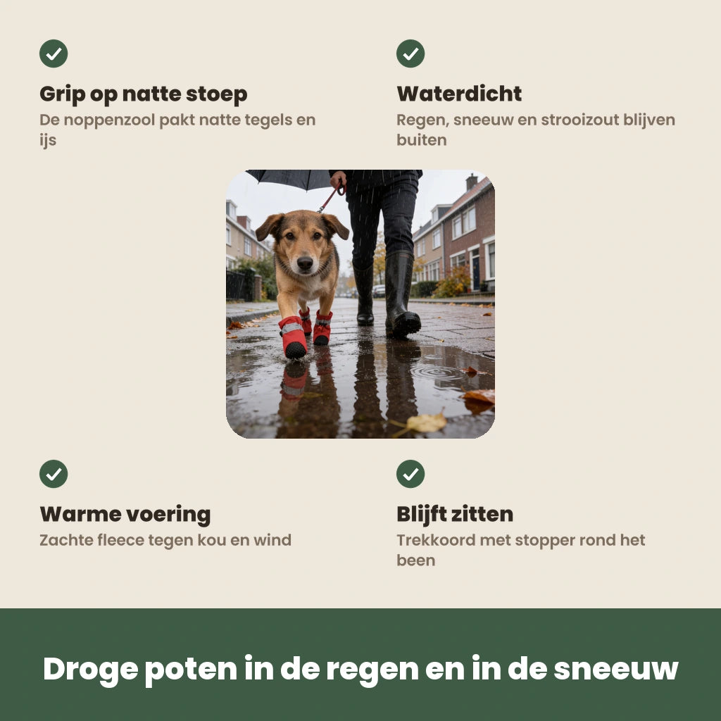 De voordelen van de DryPaws op een rij