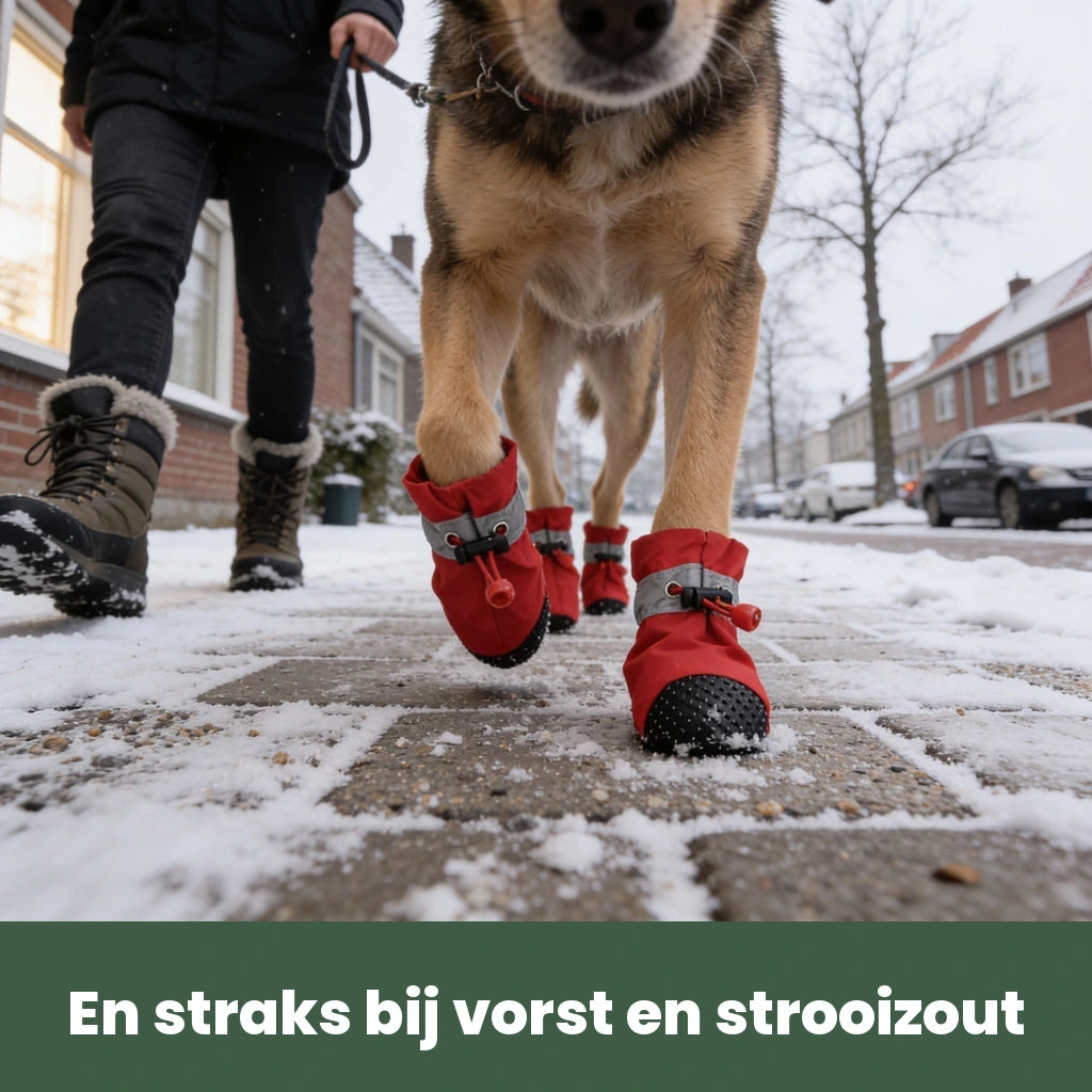 Hond met DryPaws in de sneeuw en op strooizout