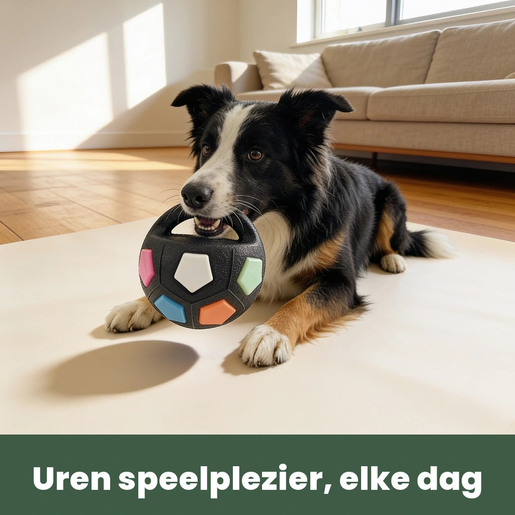ToughBall in gebruik in huis