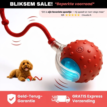 FlashTail – Urenlang speelplezier voor je hond