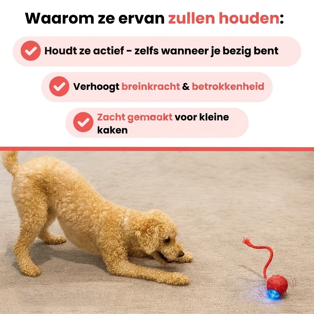 FlashTail – Urenlang speelplezier voor je hond