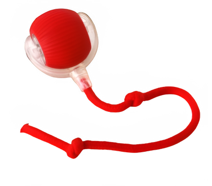 Catfri - De jachtbal voor katten