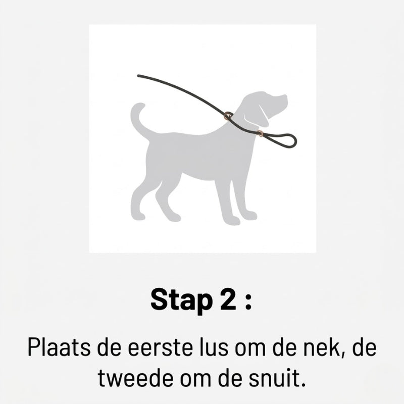 WalkEasy stap2