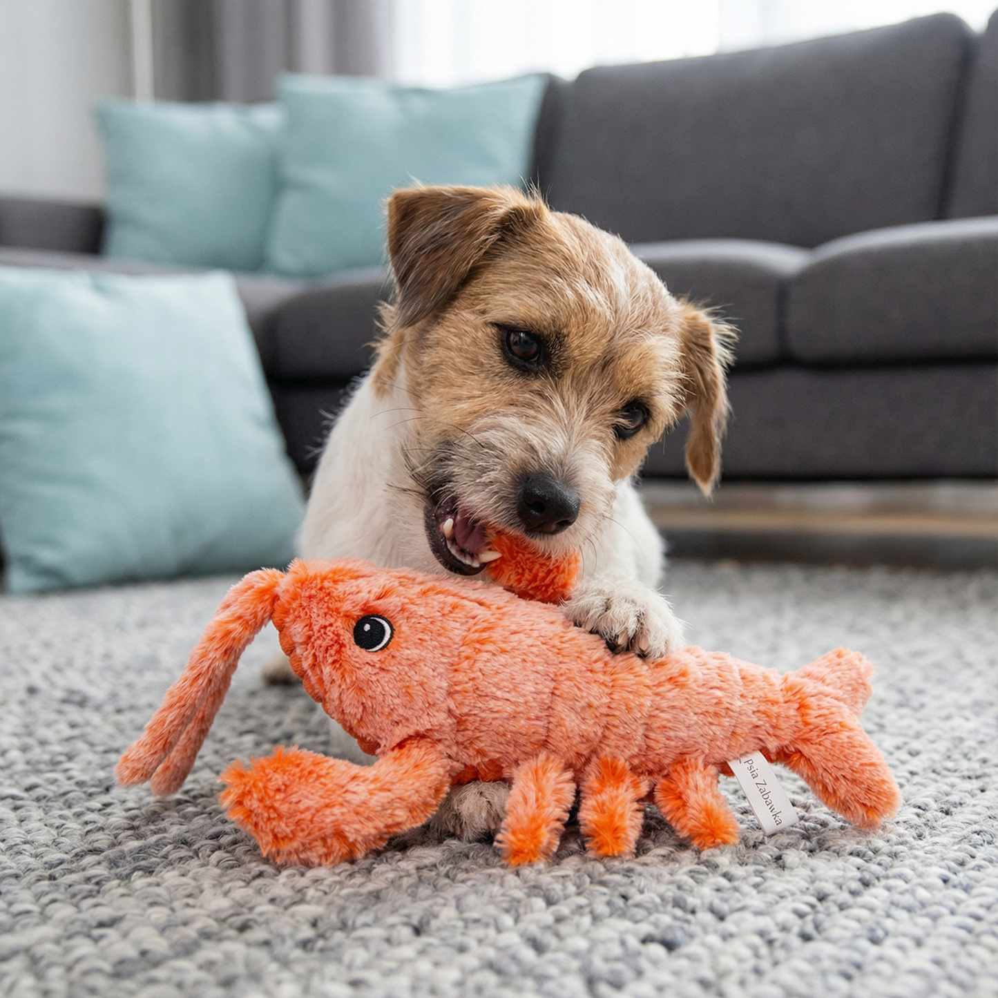 Hond speelt met ShrimpBuddy