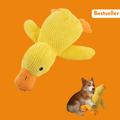 BuddyBite – De knuffel die angst en stress wegneemt