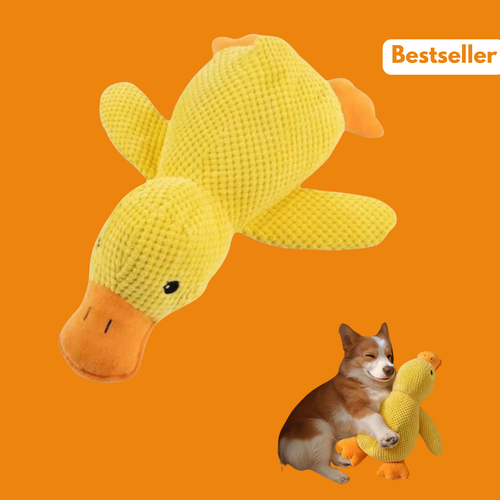 BuddyBite – De knuffel die angst en stress wegneemt